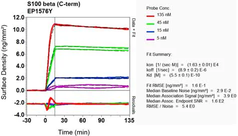 OI-RD Scanning - Anti-S100 beta antibody [EP1576Y] - BSA and Azide free (AB215989)