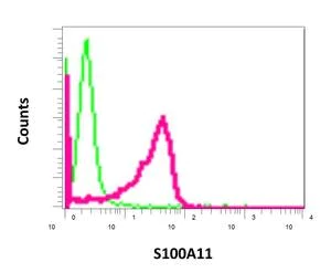 Flow Cytometry (Intracellular) - Anti-S100A11 antibody [EPR11171(B)] - BSA and Azide free (AB249483)