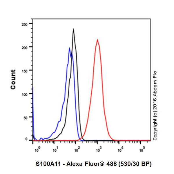 Flow Cytometry (Intracellular) - Anti-S100A11 antibody [EPR11172] - BSA and Azide free (AB236123)