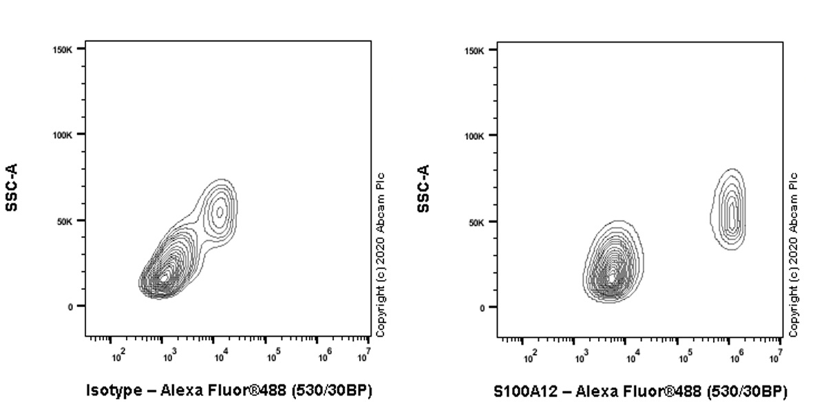 Flow Cytometry (Intracellular) - Anti-S100A12/CGRP antibody [EPR23677-111] - BSA and Azide free (AB273051), expandable thumbnail