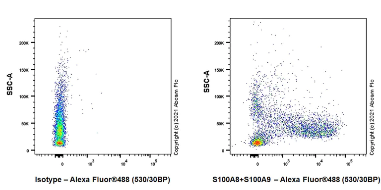 Flow Cytometry (Intracellular) - Anti-S100A8 + S100A9 antibody [RM1038] - BSA and Azide free (AB288578)