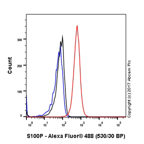Flow Cytometry (Intracellular) - Anti-S100P antibody [EPR6142] - BSA and Azide free (AB246341)
