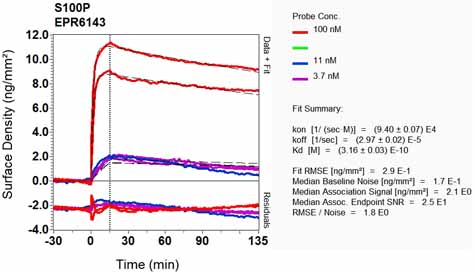 OI-RD Scanning - Anti-S100P antibody [EPR6143] - BSA and Azide free (ab225543), expandable thumbnail