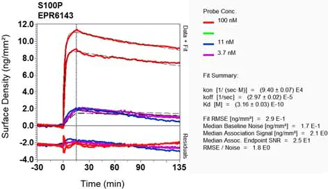 OI-RD Scanning - Anti-S100P antibody [EPR6143] - BSA and Azide free (AB225543)