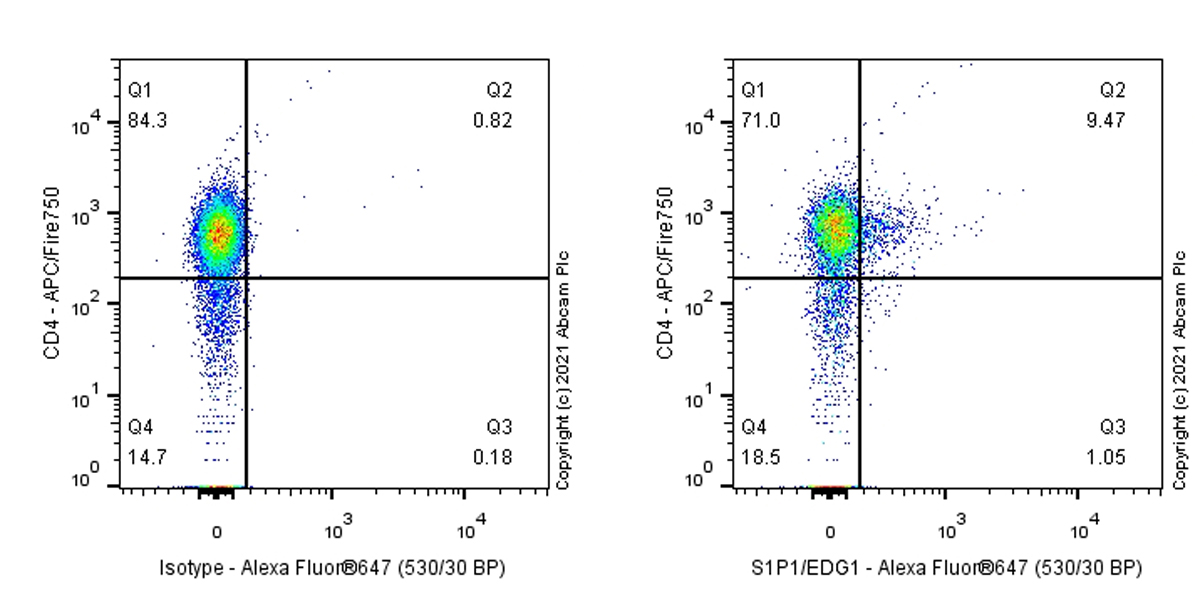 Flow Cytometry - Anti-S1P1/EDG1 antibody [EPR23535-103] (AB283502)