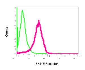 Flow Cytometry (Intracellular) - Anti-S31 antibody [EPR10789(B)] (AB154813)
