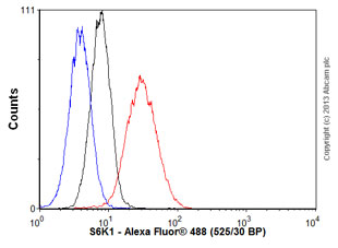 Flow Cytometry (Intracellular) - Anti-S6K1 antibody [E343] (ab32529), expandable thumbnail