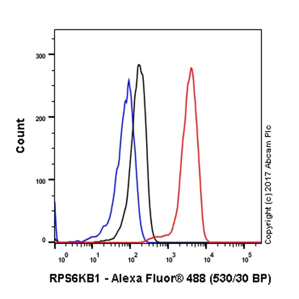 Flow Cytometry (Intracellular) - Anti-S6K1 antibody [E343] (AB32529)