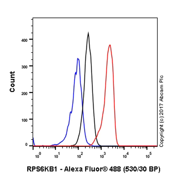 Flow Cytometry (Intracellular) - Anti-S6K1 antibody [E343] (AB32529)