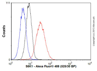 Flow Cytometry (Intracellular) - Anti-S6K1 antibody [E343] - BSA and Azide free (AB203558)