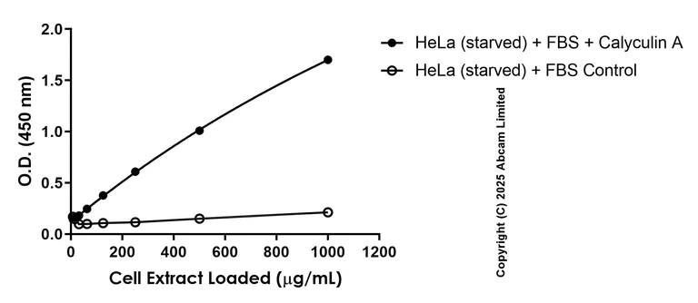 Sandwich ELISA - Anti-S6K1 antibody [EPR24766-68] - BSA and Azide free (Detector) (AB323432)