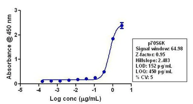 ELISA - Anti-S6K1 antibody [RP23040066] (AB308113)