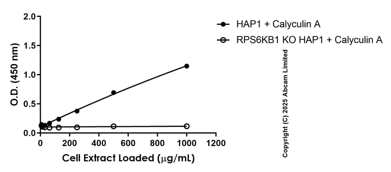 Sandwich ELISA - Anti-S6K1 (phospho T389) antibody [EPR24766-21] - BSA and Azide free (Capture) (AB323431)
