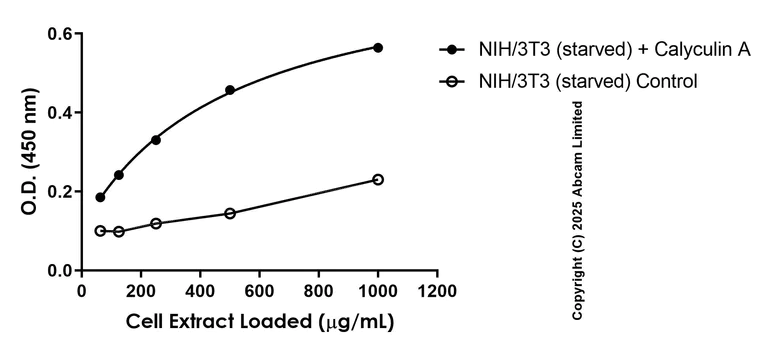 Sandwich ELISA - Anti-S6K1 (phospho T389) antibody [EPR24766-21] - BSA and Azide free (Capture) (AB323431)