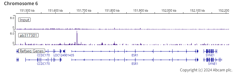 ChIP-sequencing - Anti-SA1 antibody [EPR26227-76] - BSA and Azide free (ab317302), expandable thumbnail