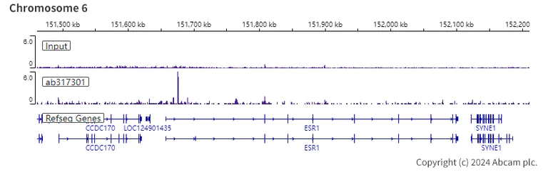 ChIP-sequencing - Anti-SA1 antibody [EPR26227-76] - BSA and Azide free (AB317302)