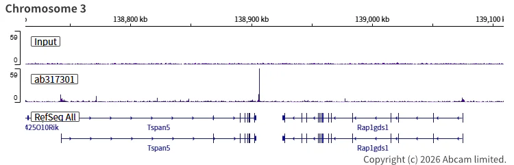 ChIP-sequencing - Anti-SA1 antibody [EPR26227-76] - BSA and Azide free (AB317302)