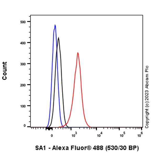 Flow Cytometry (Intracellular) - Anti-SA1 antibody [EPR26227-76] - BSA and Azide free (AB317302)