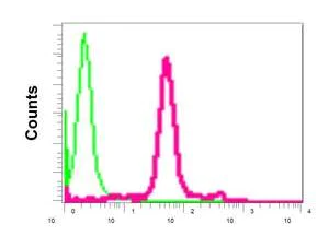 Flow Cytometry (Intracellular) - Anti-SA2 antibody [EPR10993] - N-terminal (AB171970)