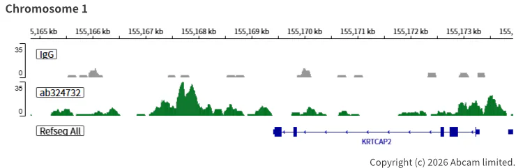 ChIC/CUT&RUN sequencing - Anti-SA2 (isoform-1) antibody [EPR30102-55] (AB324732)