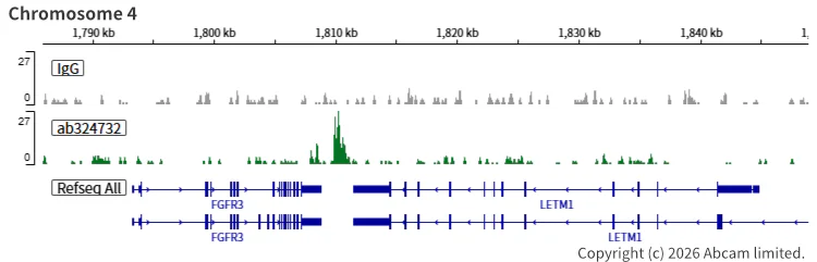ChIC/CUT&RUN sequencing - Anti-SA2 (isoform-1) antibody [EPR30102-55] (AB324732)