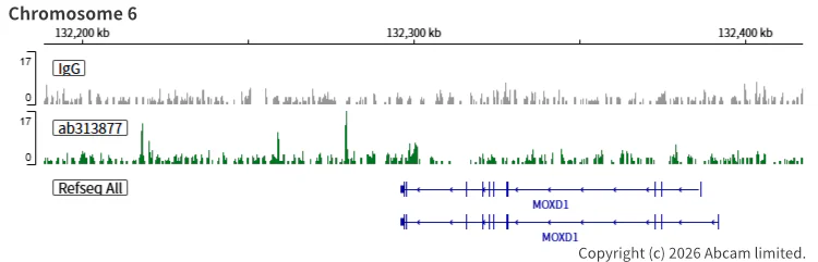 ChIC/CUT&RUN sequencing - Anti-SA2 (isoform-2) antibody [EPR26892-61] (AB313877)