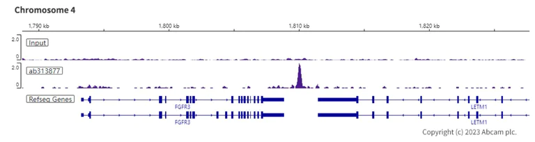 ChIP-sequencing - Anti-SA2 (isoform-2) antibody [EPR26892-61] (AB313877)
