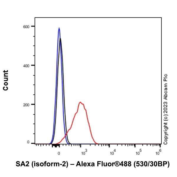 Flow Cytometry - Anti-SA2 (isoform-2) antibody [EPR26892-61] - BSA and Azide free (AB313878)