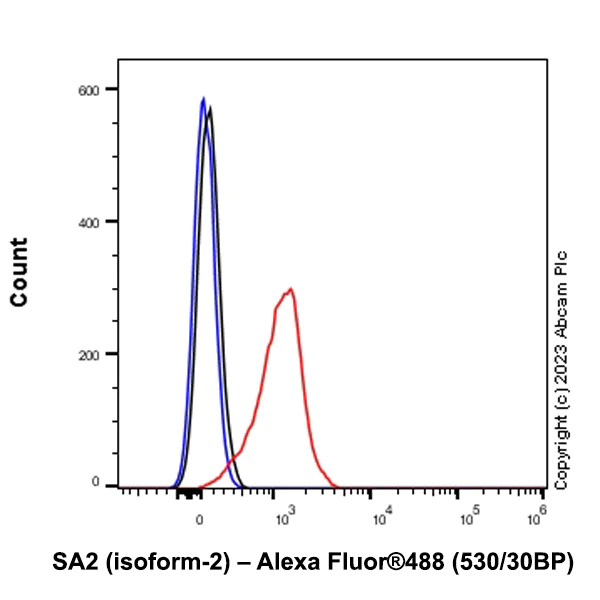 Flow Cytometry - Anti-SA2 (isoform-2) antibody [EPR26892-61] - BSA and Azide free (AB313878)