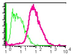 Flow Cytometry (Intracellular) - Anti-SAA4 antibody [EPR2926] (AB92540), expandable thumbnail