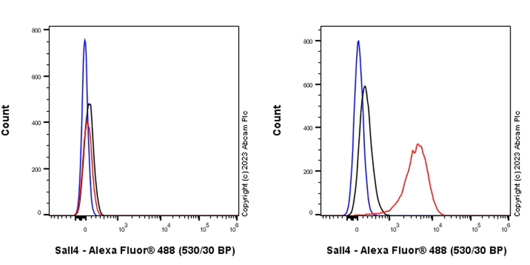 Flow Cytometry (Intracellular) - Anti-Sall4 antibody [RM1097] - BSA and Azide free (AB315177)
