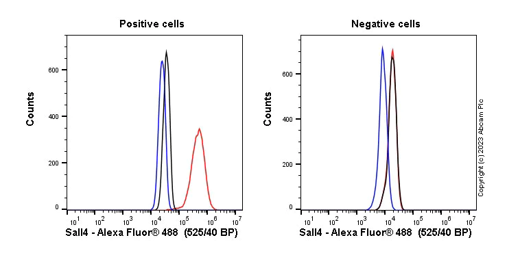 Flow Cytometry (Intracellular) - Anti-Sall4 antibody [SP289] - BSA and Azide free (AB245759)