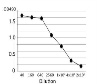 ELISA - Anti-Salmonella LPS antibody [se-01] (AB243104)