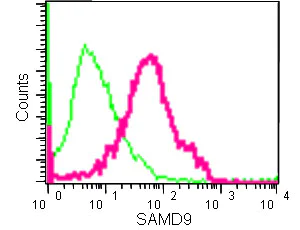 Flow Cytometry (Intracellular) - Anti-SAMD9 antibody [EPR13603] (AB180575)