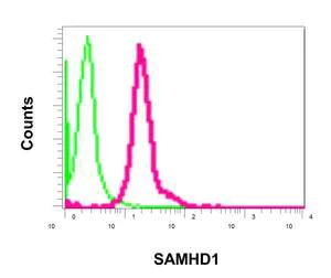 Flow Cytometry (Intracellular) - Anti-SAMHD1 antibody [EPR13040(B)] - BSA and Azide free (AB240199)