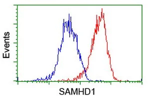Flow Cytometry (Intracellular) - Anti-SAMHD1 antibody [OTI1A1] (AB128107)
