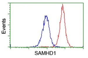 Flow Cytometry (Intracellular) - Anti-SAMHD1 antibody [OTI1A1] (AB128107)