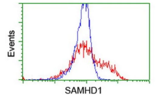 Flow Cytometry (Intracellular) - Anti-SAMHD1 antibody [OTI1A1] (AB128107)