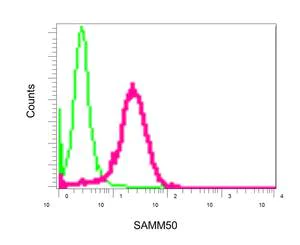 Flow Cytometry (Intracellular) - Anti-SAMM50/SAM50 antibody [EPR8717] (AB167430)