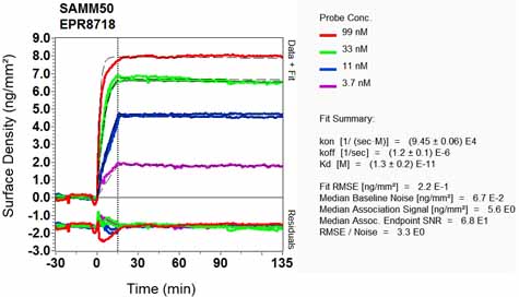 OI-RD Scanning - Anti-SAMM50/SAM50 antibody [EPR8718] (AB133709), expandable thumbnail