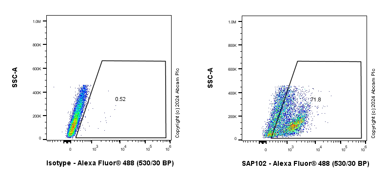 Flow Cytometry (Intracellular) - Anti-SAP102 antibody [EPR28704-52] - BSA and Azide free (ab316859), expandable thumbnail
