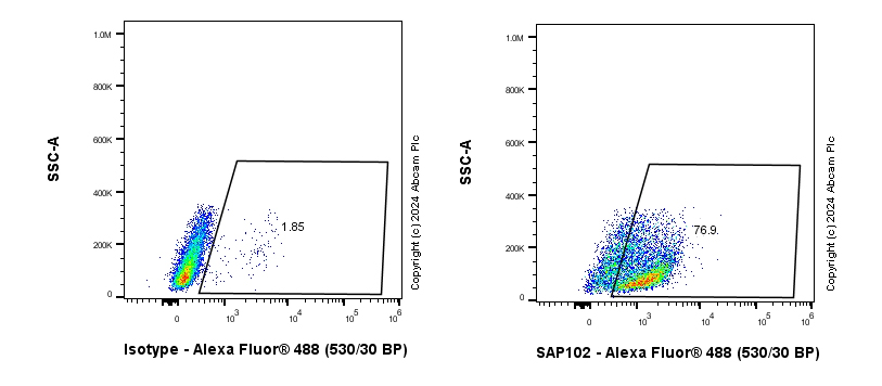 Flow Cytometry (Intracellular) - Anti-SAP102 antibody [EPR28704-52] - BSA and Azide free (ab316859), expandable thumbnail