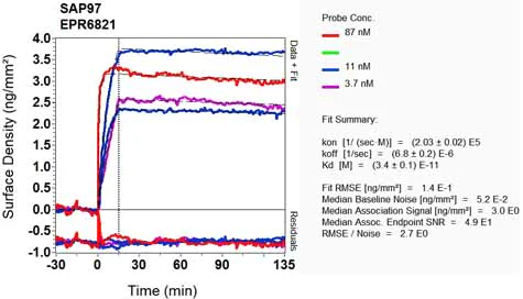 OI-RD Scanning - Anti-SAP97 antibody [EPR6821] - BSA and Azide free (AB248705)