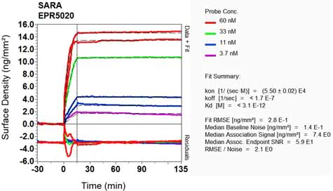 OI-RD Scanning - Anti-SARA antibody [EPR5020] - BSA and Azide free (AB248032)