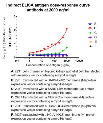 Indirect ELISA - Anti-SARS-CoV-2 M protein antibody [8] (AB325776)