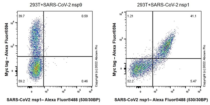 Flow Cytometry (Intracellular) - Anti-SARS-COV-2 nsp1 antibody [EPR24860-86] - BSA and Azide free (AB284632), expandable thumbnail