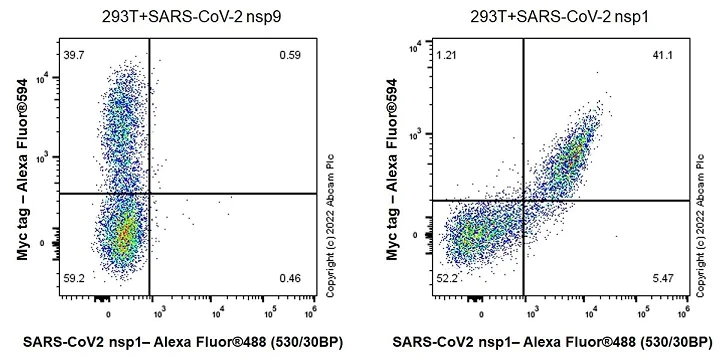 Flow Cytometry (Intracellular) - Anti-SARS-COV-2 nsp1 antibody [EPR24860-86] - BSA and Azide free (AB284632)
