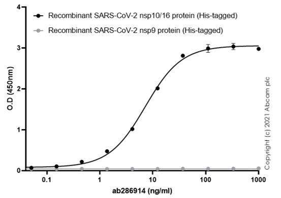 Indirect ELISA - Anti-SARS-CoV-2 nsp10 antibody (AB286914), expandable thumbnail
