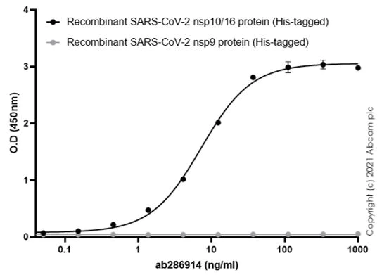 Indirect ELISA - Anti-SARS-CoV-2 nsp10 antibody (AB286914)