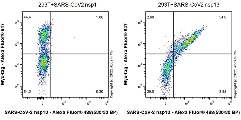 Flow Cytometry - Anti-SARS-CoV-2 nsp13 antibody [EPR24838-18] (AB286909)